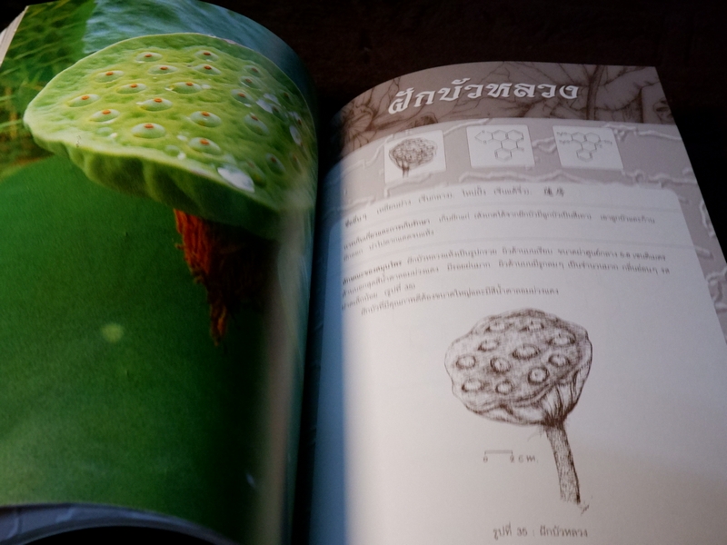 สมุนไพรไทย-จีน โดย กรมวิทยาศาสตร์การเเพทย์ กระทรวงสาธารณสุข