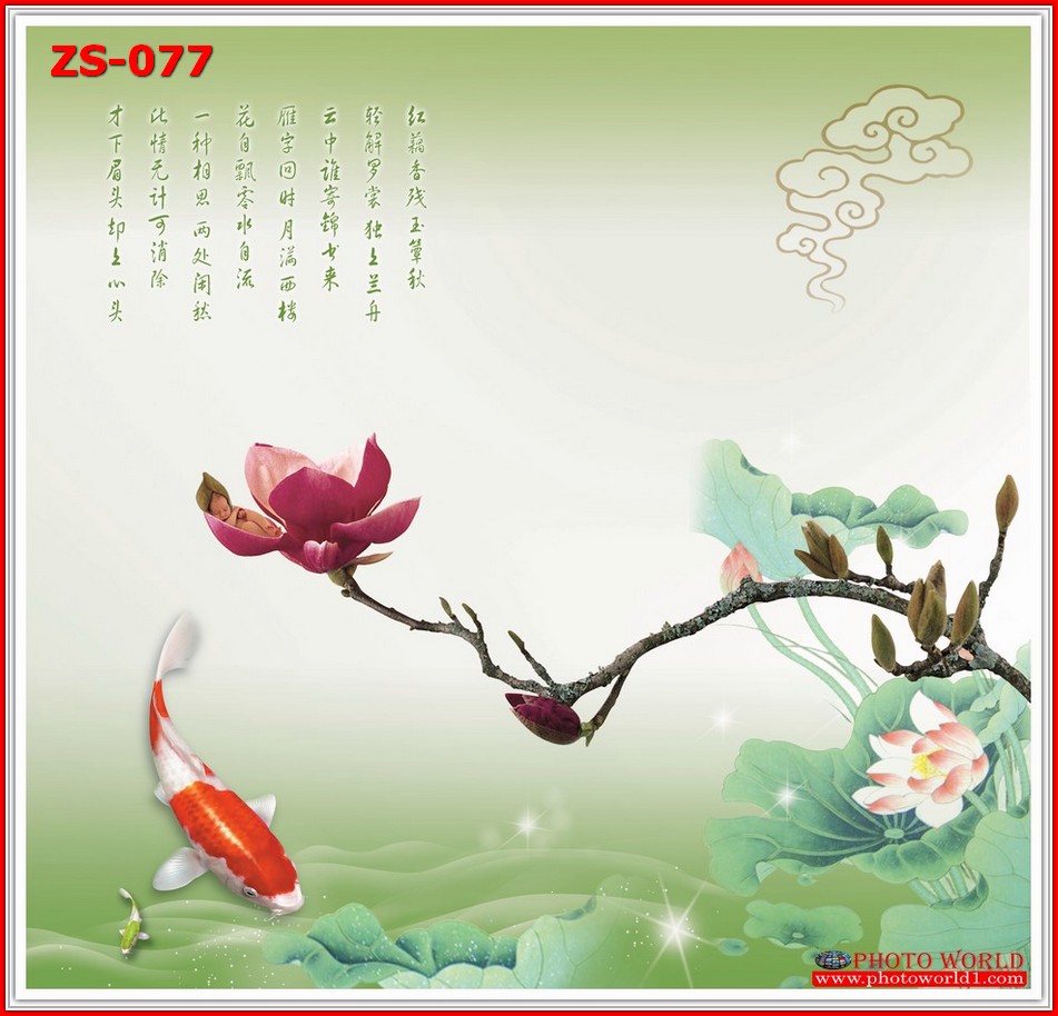 วอลเปเปอร์รูปภาพติดผนังสั่งทำ มีภาพให้เลือกกว่า 50,000 ภาพ ออกแบบกราฟฟิค หรือ รูปภาพตามที่ท่านกำหนด ในสไตล์ท่านเอง "custom made"