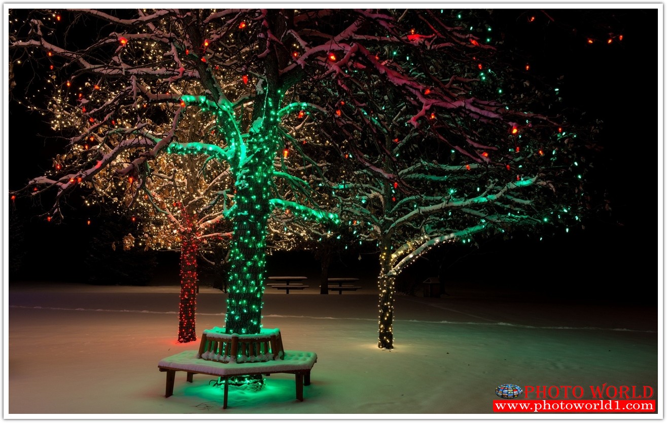 NATURAL วอลเปเปอร์รูปภาพติดผนังสั่งทำ มีภาพให้เลือกกว่า 50,000 ภาพ ออกแบบกราฟฟิค หรือ รูปภาพตามที่ท่านกำหนด ในสไตล์ท่านเอง "custom made"