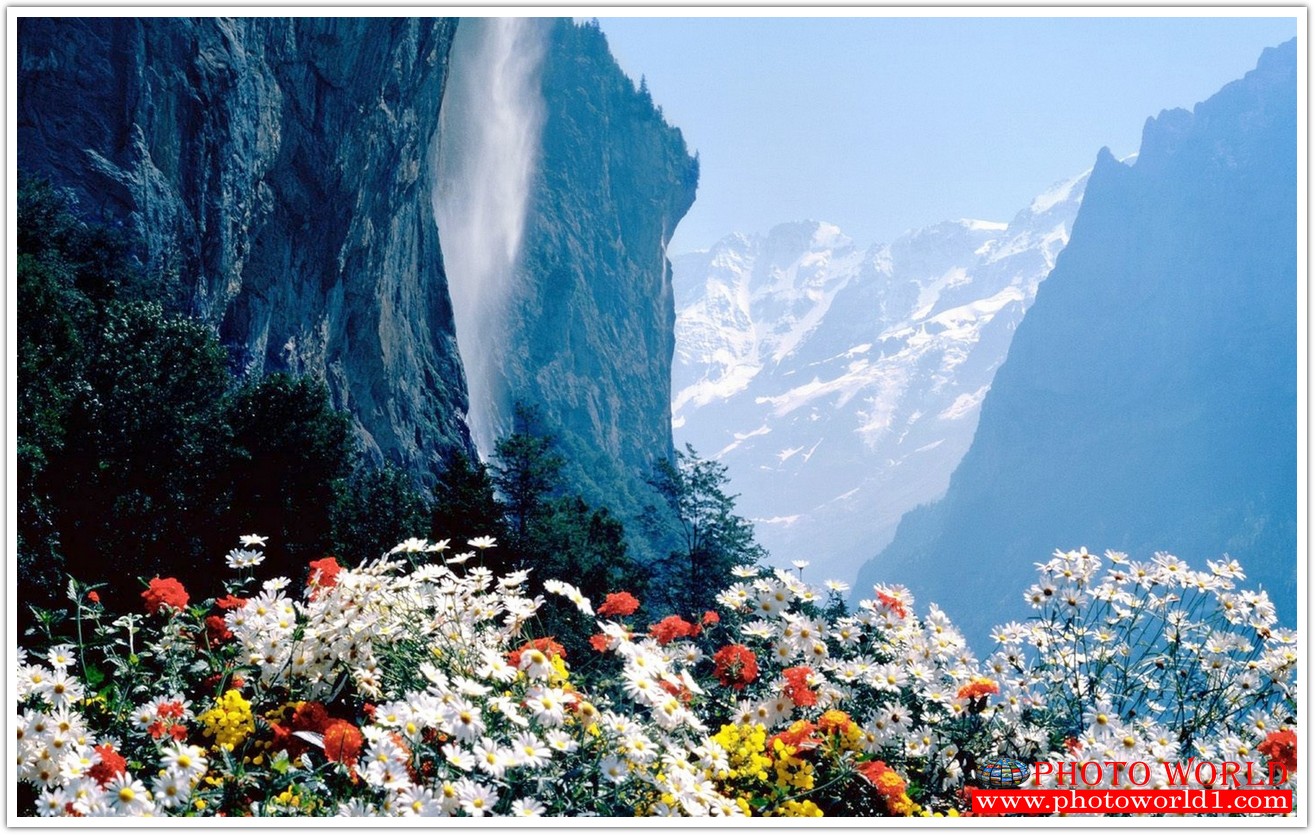 NATURAL วอลเปเปอร์รูปภาพติดผนังสั่งทำ มีภาพให้เลือกกว่า 50,000 ภาพ ออกแบบกราฟฟิค หรือ รูปภาพตามที่ท่านกำหนด ในสไตล์ท่านเอง "custom made"