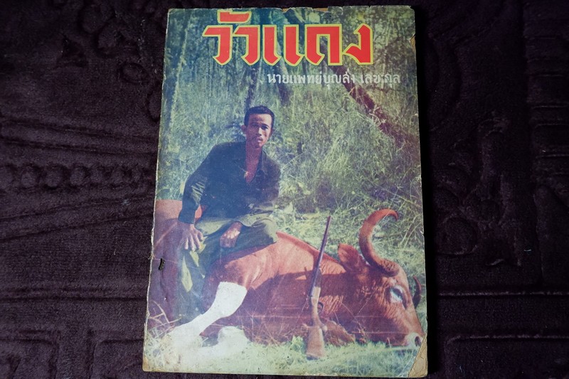 วัวเเดง โดย นายเเพทย์บุญส่ง เลขะกุล ปี 2497