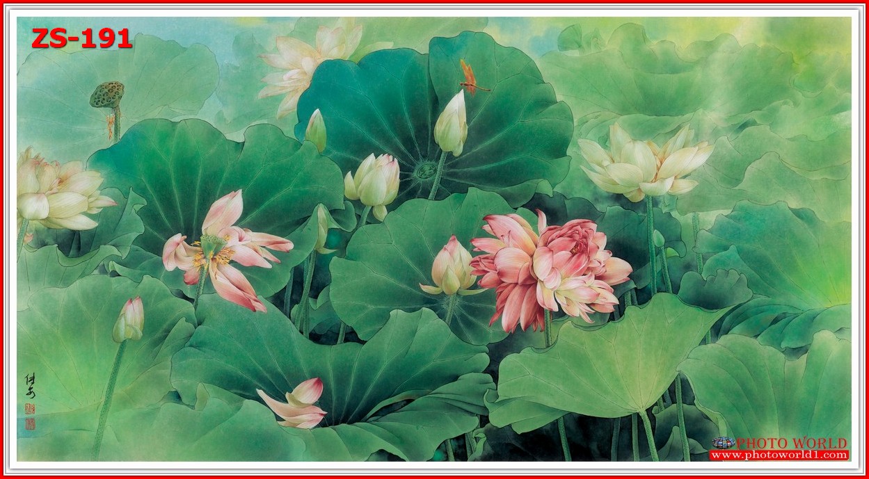 วอลเปเปอร์รูปภาพติดผนังสั่งทำ มีภาพให้เลือกกว่า 50,000 ภาพ ออกแบบกราฟฟิค หรือ รูปภาพตามที่ท่านกำหนด ในสไตล์ท่านเอง "custom made"