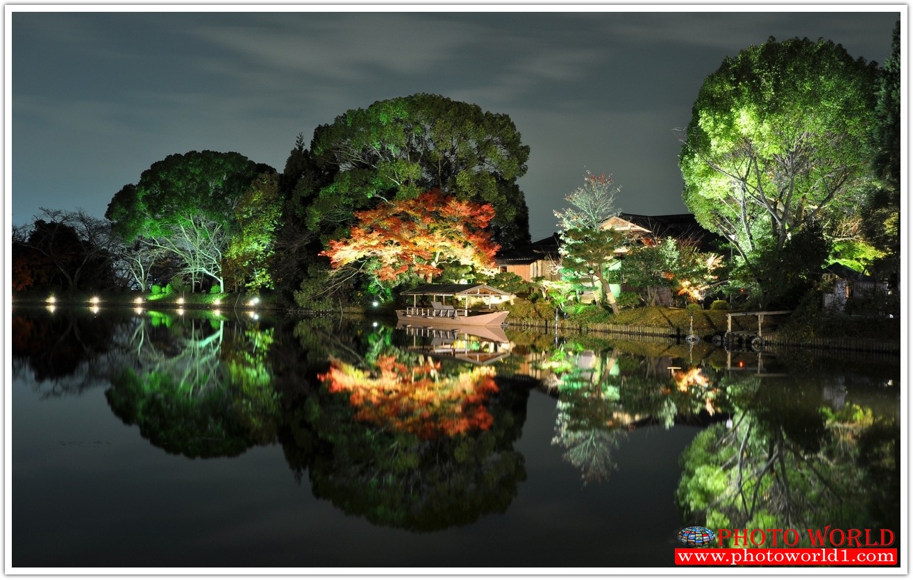 NATURAL วอลเปเปอร์รูปภาพติดผนังสั่งทำ มีภาพให้เลือกกว่า 50,000 ภาพ ออกแบบกราฟฟิค หรือ รูปภาพตามที่ท่านกำหนด ในสไตล์ท่านเอง "custom made"