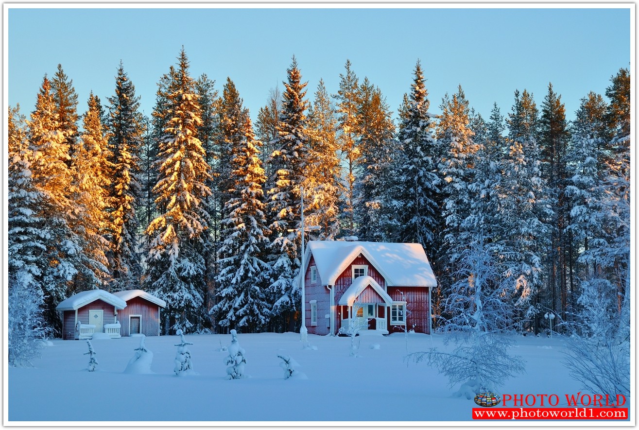 NATURAL วอลเปเปอร์รูปภาพติดผนังสั่งทำ มีภาพให้เลือกกว่า 50,000 ภาพ ออกแบบกราฟฟิค หรือ รูปภาพตามที่ท่านกำหนด ในสไตล์ท่านเอง "custom made"