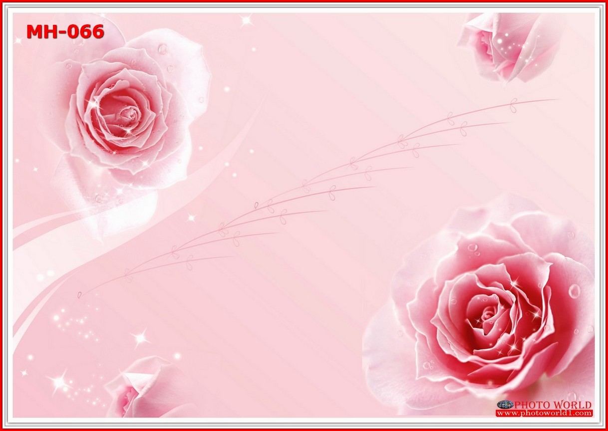 วอลเปเปอร์รูปภาพติดผนังสั่งทำ มีภาพให้เลือกกว่า 50,000 ภาพ ออกแบบกราฟฟิค หรือ รูปภาพตามที่ท่านกำหนด ในสไตล์ท่านเอง "custom made"