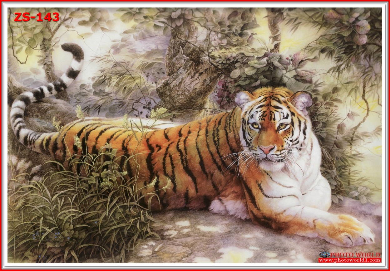 วอลเปเปอร์รูปภาพติดผนังสั่งทำ มีภาพให้เลือกกว่า 50,000 ภาพ ออกแบบกราฟฟิค หรือ รูปภาพตามที่ท่านกำหนด ในสไตล์ท่านเอง "custom made"