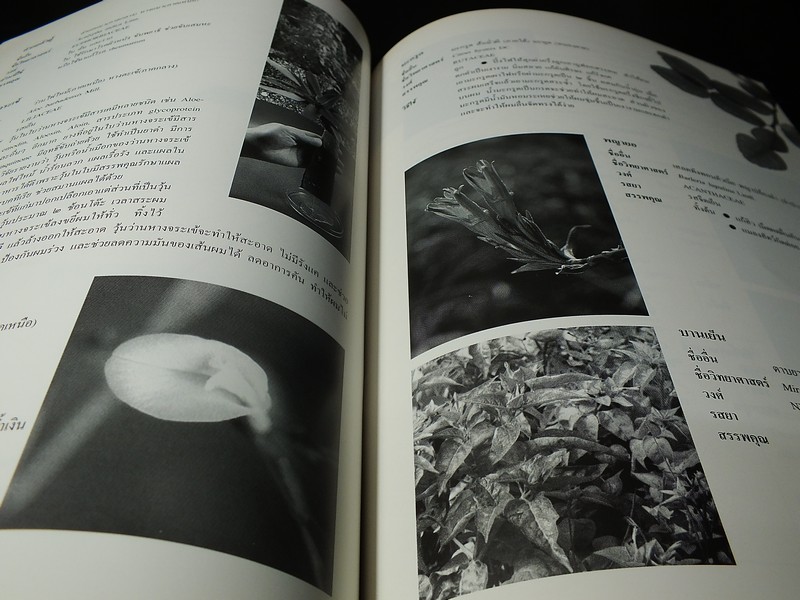 นิทรรศการชุุมนุมเเพทย์เเผนไทยเเละสมุนไพรเเห่งชาติ ครั้งที่ 2 โดยสถาบันการเเพทย์ไทย หนา 112 หน้า ปี 2540