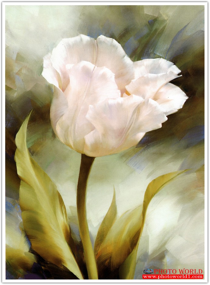 วอลเปเปอร์รูปภาพติดผนังสั่งทำ มีภาพให้เลือกกว่า 50,000 ภาพ ออกแบบกราฟฟิค หรือ รูปภาพตามที่ท่านกำหนด ในสไตล์ท่านเอง "custom made"