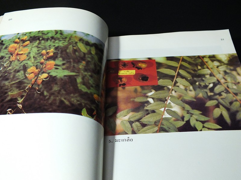 คู่มือการใช้สมุนไพร โดย ศ.พเยาว์ เหมือนวงษืญาติ หนา 298 หน้า ปี 2532