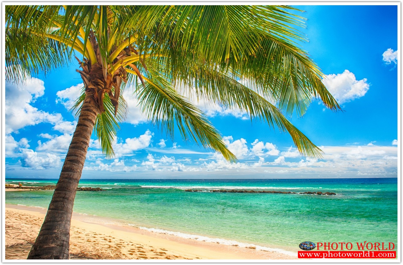 วอลเปเปอร์รูปภาพติดผนังสั่งทำ มีภาพให้เลือกกว่า 50,000 ภาพ ออกแบบกราฟฟิค หรือ รูปภาพตามที่ท่านกำหนด ในสไตล์ท่านเอง "custom made"