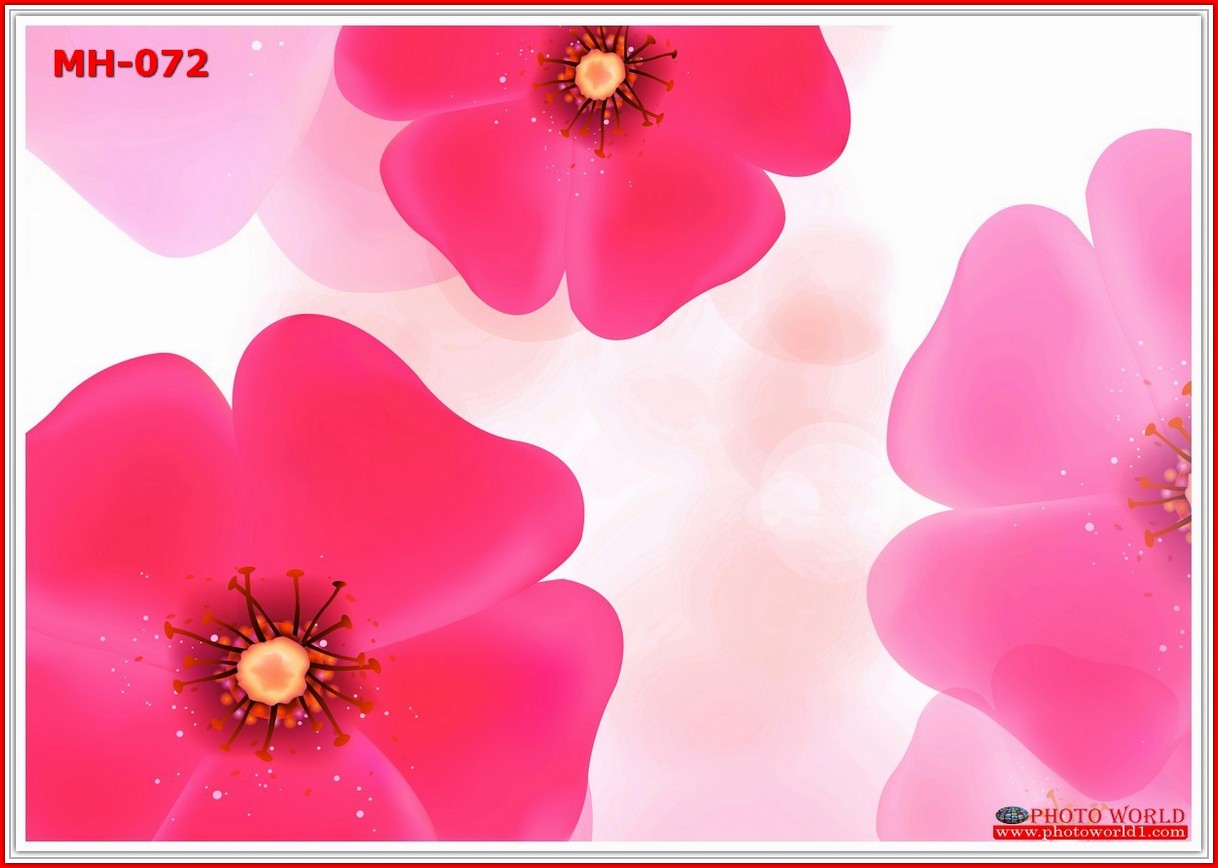 วอลเปเปอร์รูปภาพติดผนังสั่งทำ มีภาพให้เลือกกว่า 50,000 ภาพ ออกแบบกราฟฟิค หรือ รูปภาพตามที่ท่านกำหนด ในสไตล์ท่านเอง "custom made"