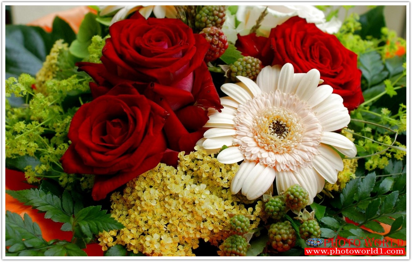 วอลเปเปอร์รูปภาพติดผนังสั่งทำ มีภาพให้เลือกกว่า 50,000 ภาพ ออกแบบกราฟฟิค หรือ รูปภาพตามที่ท่านกำหนด ในสไตล์ท่านเอง "custom made"