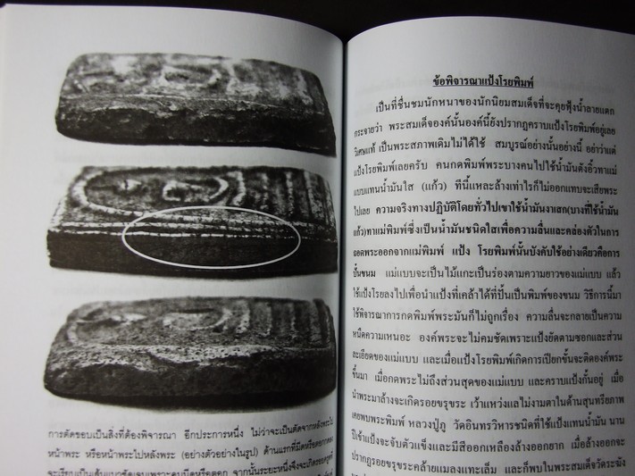 ตำรับพรหมรังสี คัมภีร์ศักดิ์สิทธิ์สะท้านแผ่นดิน ที่รอผู้มีวาสนามาครอบครอง โดย กรมท่า หนา 310 หน้า ปี 2550
