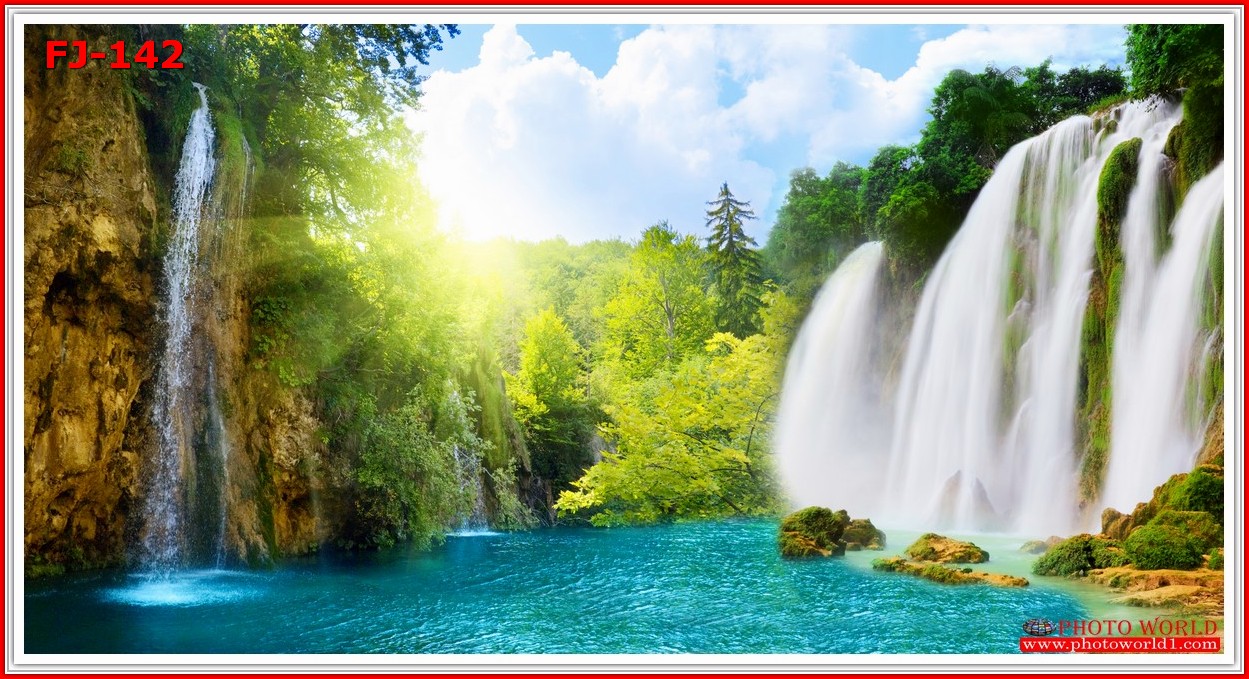 วอลเปเปอร์รูปภาพติดผนังสั่งทำ มีภาพให้เลือกกว่า 50,000 ภาพ ออกแบบกราฟฟิค หรือ รูปภาพตามที่ท่านกำหนด ในสไตล์ท่านเอง "custom made"