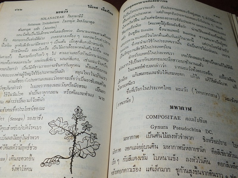 ไม้เทศเมืองไทย สรรพคุณยาเทศเเละยาไทย โดย หมอเสงี่ยม พงษ์บุญรอด ปกแข็ง 652 หน้า ปี 2522