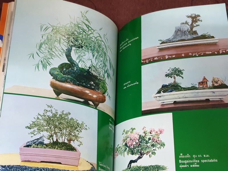 บอนไซ 01 02 03 รวม 3 เล่ม โดยชมรมบอนไซ(ไม้เเคระ) เเห่งประเทศไทย //สอบถาม//