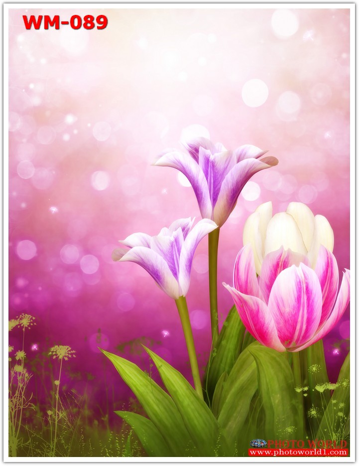 วอลเปเปอร์รูปภาพติดผนังสั่งทำ มีภาพให้เลือกกว่า 50,000 ภาพ ออกแบบกราฟฟิค หรือ รูปภาพตามที่ท่านกำหนด ในสไตล์ท่านเอง "custom made"