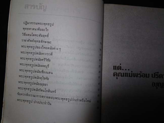 ปฏิมากรรมพระพุทธรูป โดย พอ.ฉลอง ปรีดาบุญ หนา 118 หน้า