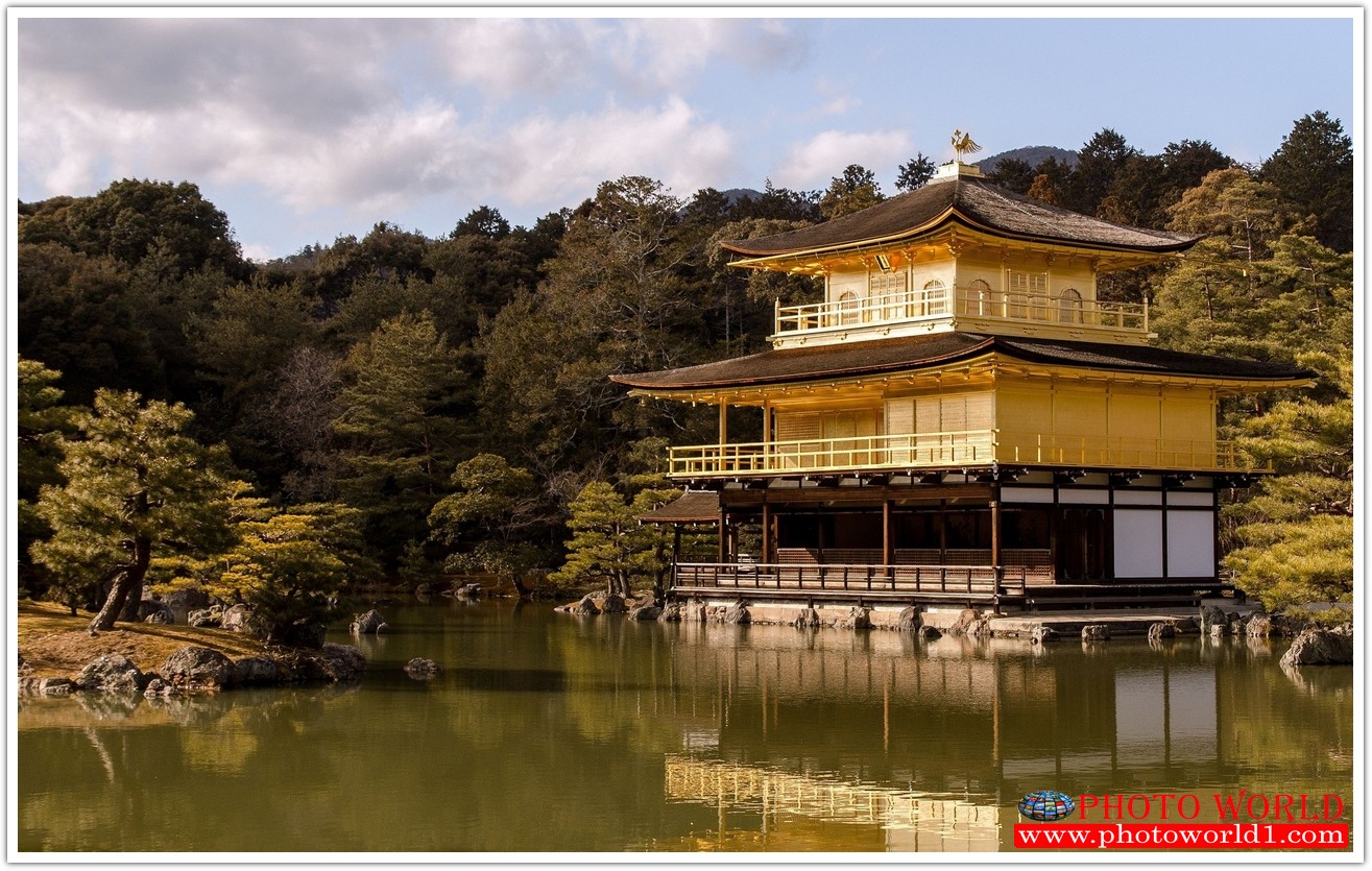 NATURAL วอลเปเปอร์รูปภาพติดผนังสั่งทำ มีภาพให้เลือกกว่า 50,000 ภาพ ออกแบบกราฟฟิค หรือ รูปภาพตามที่ท่านกำหนด ในสไตล์ท่านเอง "custom made"