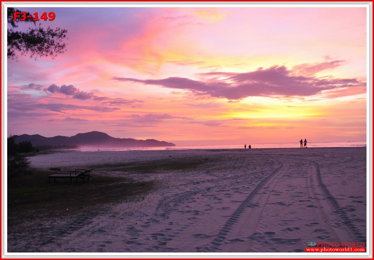 วอลเปเปอร์รูปภาพติดผนังสั่งทำ มีภาพให้เลือกกว่า 50,000 ภาพ ออกแบบกราฟฟิค หรือ รูปภาพตามที่ท่านกำหนด ในสไตล์ท่านเอง "custom made"