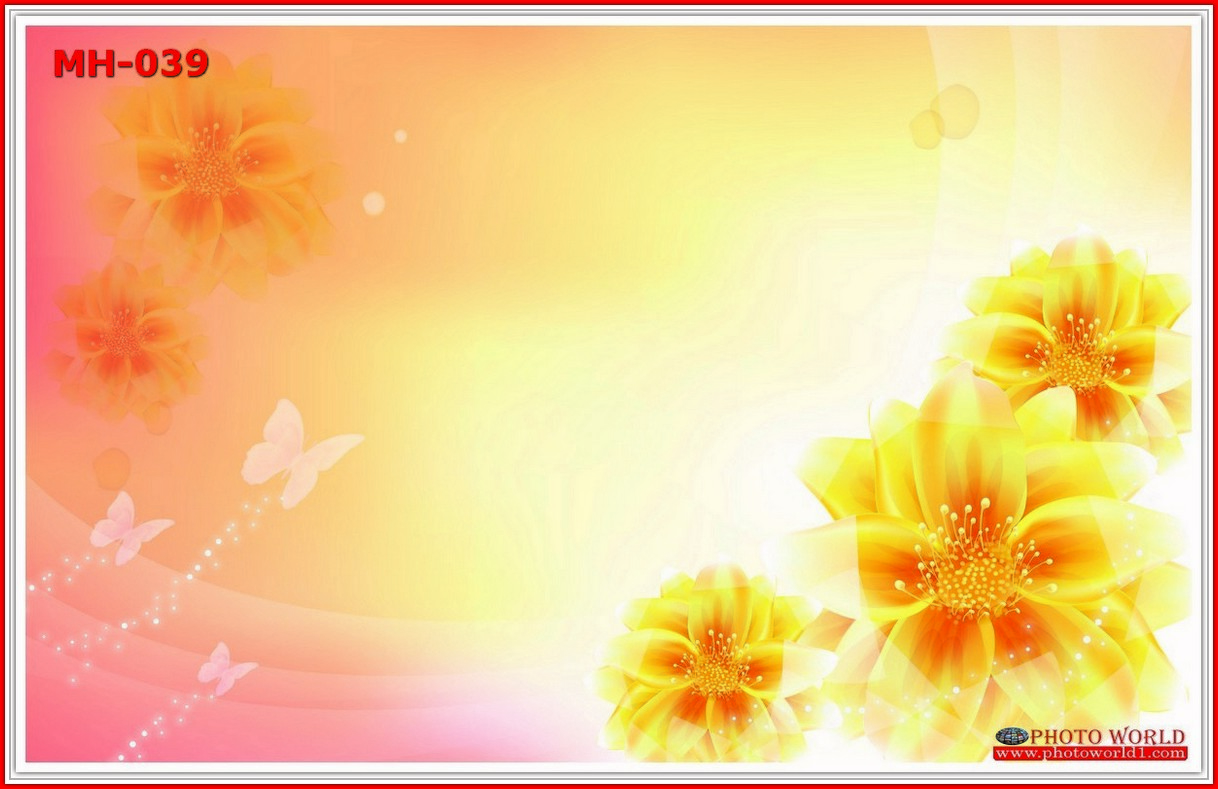 วอลเปเปอร์รูปภาพติดผนังสั่งทำ มีภาพให้เลือกกว่า 50,000 ภาพ ออกแบบกราฟฟิค หรือ รูปภาพตามที่ท่านกำหนด ในสไตล์ท่านเอง "custom made"