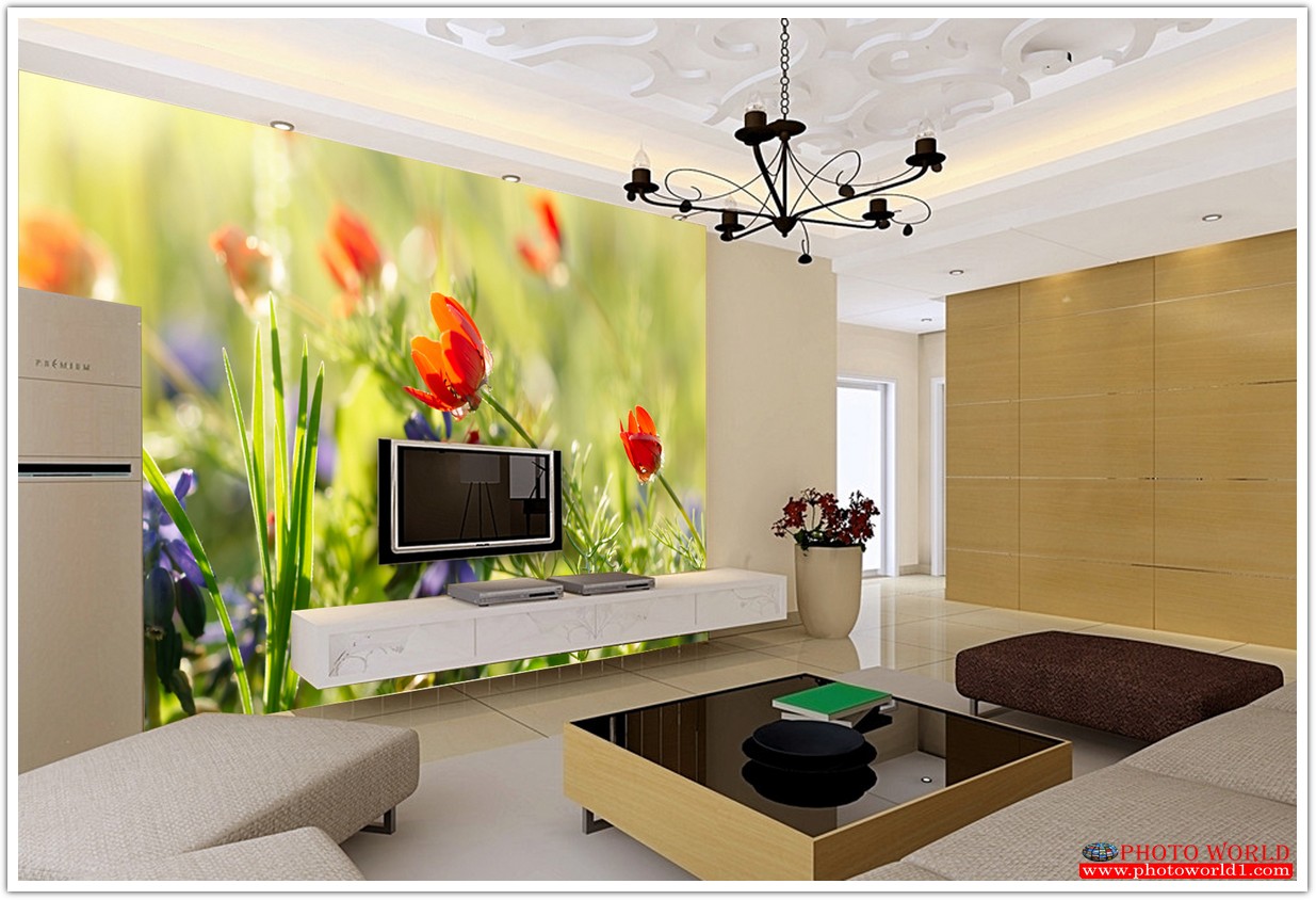 วอลเปเปอร์รูปภาพติดผนังสั่งทำ มีภาพให้เลือกกว่า 50,000 ภาพ ออกแบบกราฟฟิค หรือ รูปภาพตามที่ท่านกำหนด ในสไตล์ท่านเอง "custom made"