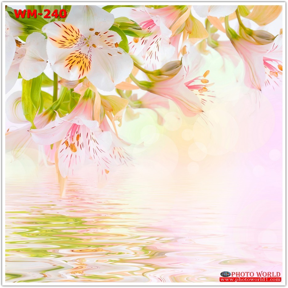 วอลเปเปอร์รูปภาพติดผนังสั่งทำ มีภาพให้เลือกกว่า 50,000 ภาพ ออกแบบกราฟฟิค หรือ รูปภาพตามที่ท่านกำหนด ในสไตล์ท่านเอง "custom made"