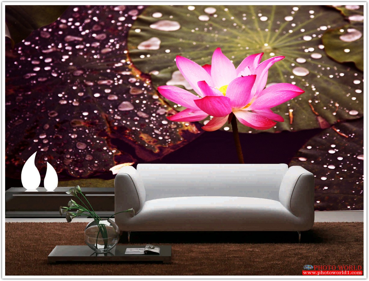 วอลเปเปอร์รูปภาพติดผนังสั่งทำ มีภาพให้เลือกกว่า 50,000 ภาพ ออกแบบกราฟฟิค หรือ รูปภาพตามที่ท่านกำหนด ในสไตล์ท่านเอง "custom made"