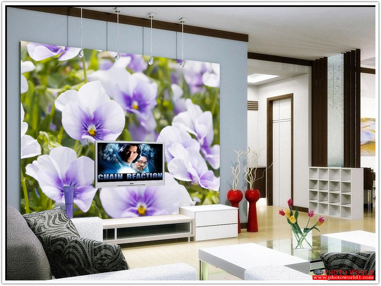 วอลเปเปอร์รูปภาพติดผนังสั่งทำ มีภาพให้เลือกกว่า 50,000 ภาพ ออกแบบกราฟฟิค หรือ รูปภาพตามที่ท่านกำหนด ในสไตล์ท่านเอง "custom made"