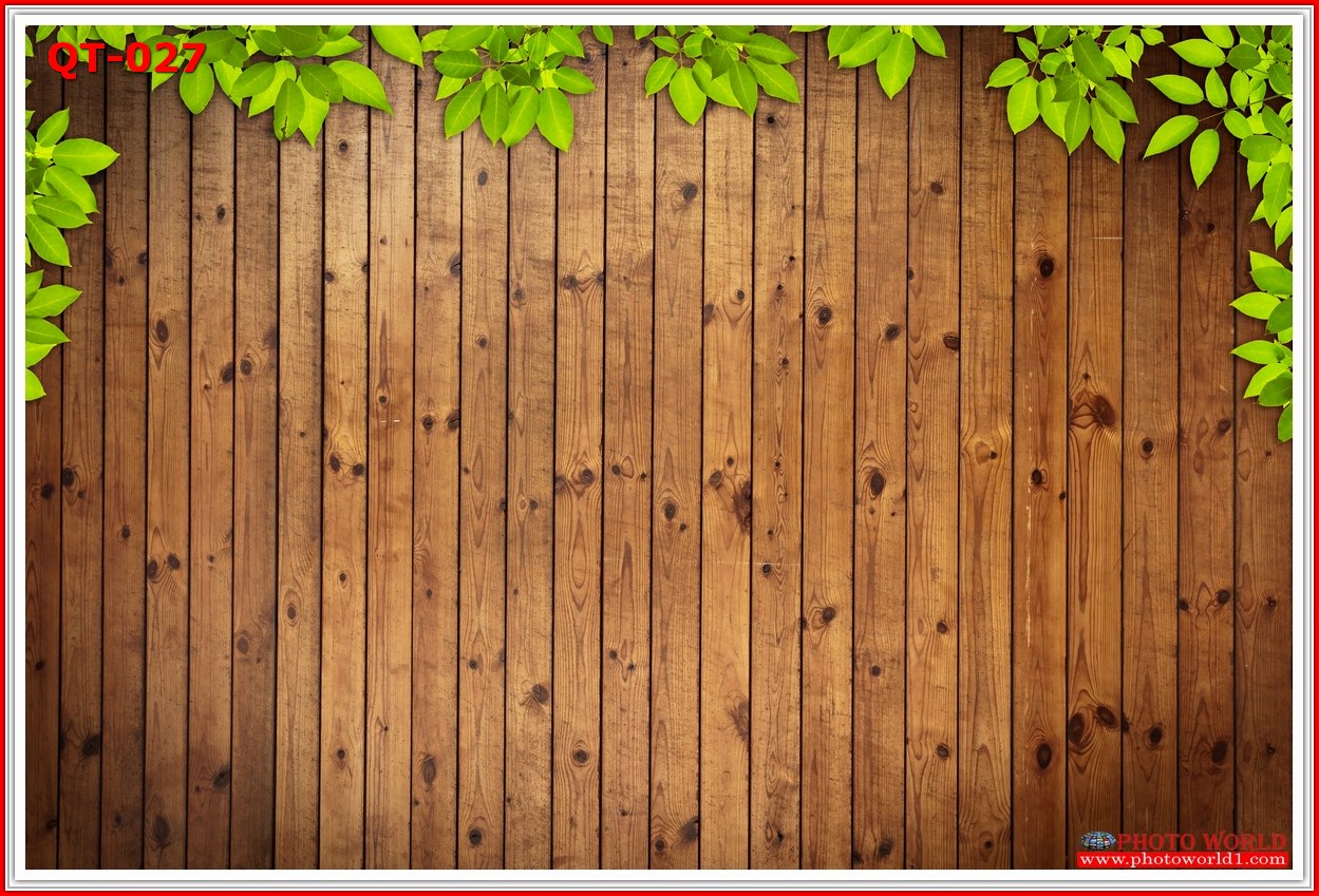 วอลเปเปอร์รูปภาพติดผนังสั่งทำ มีภาพให้เลือกกว่า 50,000 ภาพ ออกแบบกราฟฟิค หรือ รูปภาพตามที่ท่านกำหนด ในสไตล์ท่านเอง "custom made"