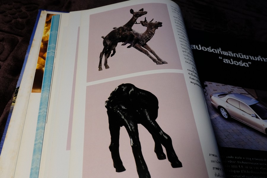 COLLECTION & HOUSE ฉบับพิเศษ บ้านริมน้ำ ปกเเข็ง ปี 2538 (ขายตามสภาพ)