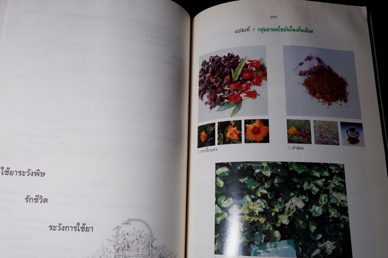 สรรพคุณสมุนไพร 200 ชนิด โดย สุนทรี สิงหบุตรา หนา 260 หน้า ปี 2535