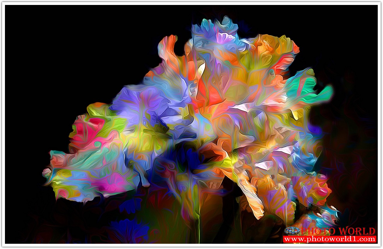 วอลเปเปอร์รูปภาพติดผนังสั่งทำ มีภาพให้เลือกกว่า 50,000 ภาพ ออกแบบกราฟฟิค หรือ รูปภาพตามที่ท่านกำหนด ในสไตล์ท่านเอง "custom made"