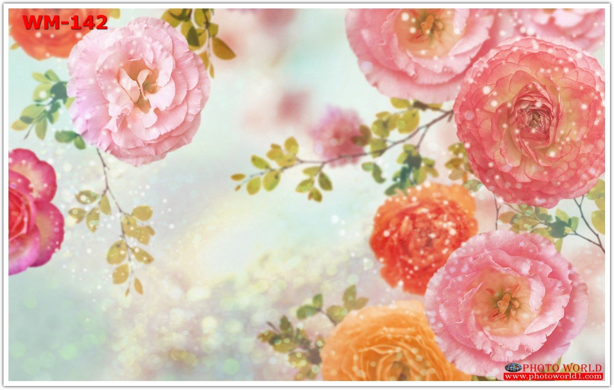 วอลเปเปอร์รูปภาพติดผนังสั่งทำ มีภาพให้เลือกกว่า 50,000 ภาพ ออกแบบกราฟฟิค หรือ รูปภาพตามที่ท่านกำหนด ในสไตล์ท่านเอง "custom made"