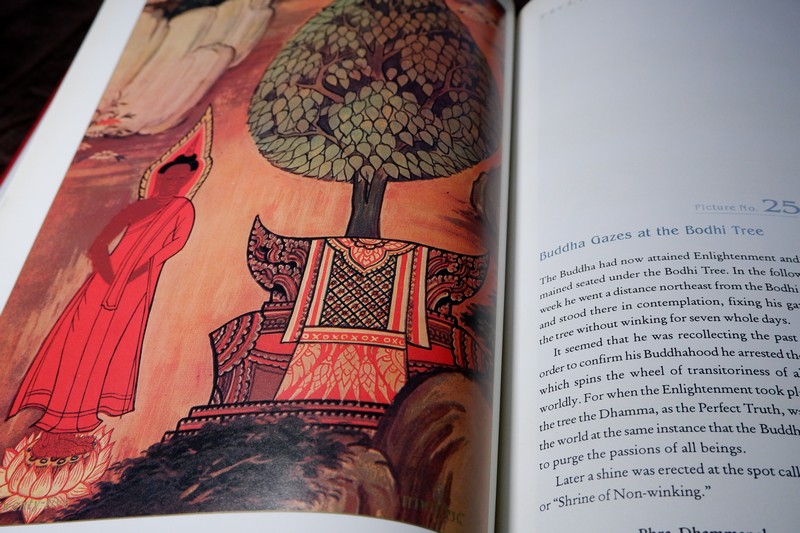 สมุดภาพ พุทธจริยาประวัติ the life of the buddha ตามภาพบนผนังโบสถ์วิหารในประเทศไทย โดย สำนักข่าวอเมริกัน ปกเเข็ง ปี 2542