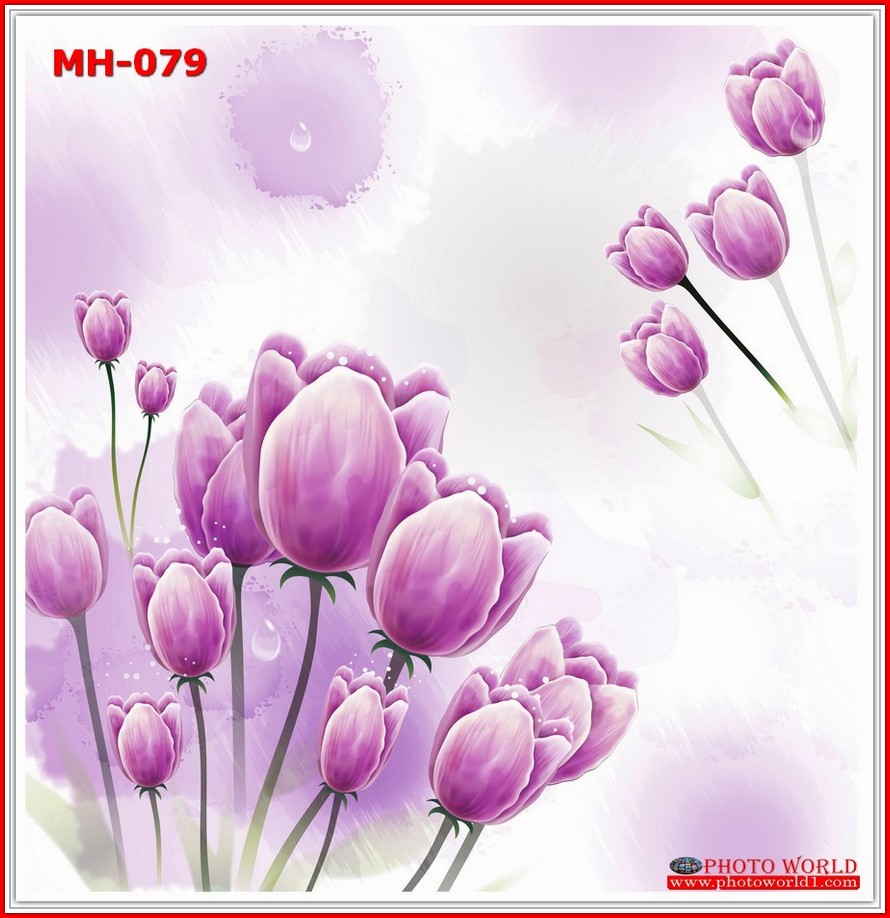 วอลเปเปอร์รูปภาพติดผนังสั่งทำ มีภาพให้เลือกกว่า 50,000 ภาพ ออกแบบกราฟฟิค หรือ รูปภาพตามที่ท่านกำหนด ในสไตล์ท่านเอง "custom made"