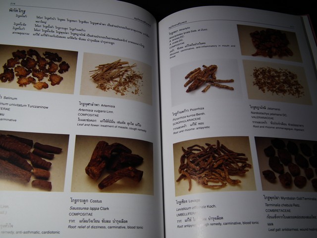 สมุนไพร สวนสิรีรุกขชาติ โดย คณะเภสัชฯ ม.มหิดล ปกแข็ง ปี 2539