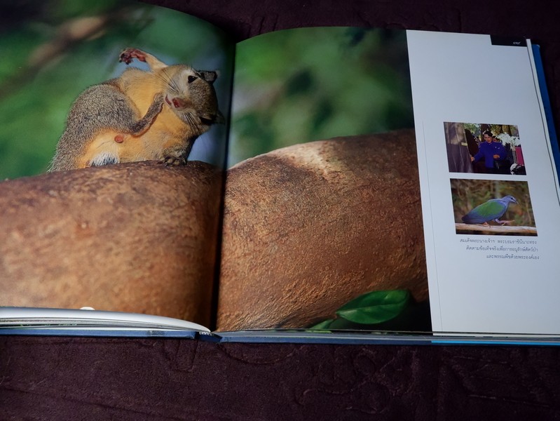 สมเด็จพระนางเจ้าสิริกิติ์ พระบรมราชินีนาถกับสิ่งเเวดล้อม
