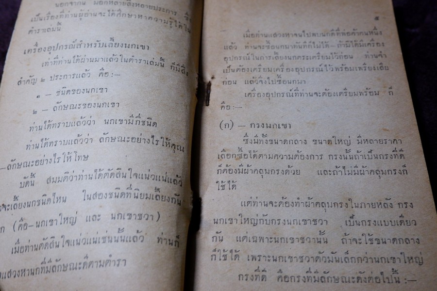 คู่มือเลี้ยงเเละดูลักษณะ นกเขาชะวา โดย พรานนก ปี 2504