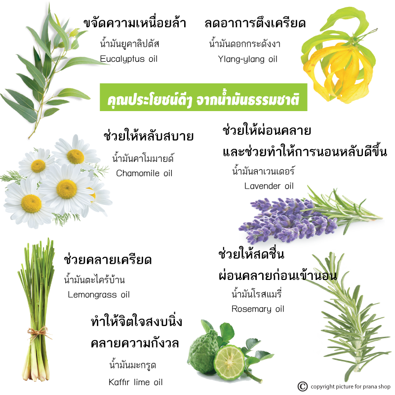 [สเปรย์ฉีดหมอน นอนหลับสบาย] Sleepwell Good Night Mist Pillow Spray สเปรย์น้ำมันหอมระเหย กลิ่น Good Night 30ml