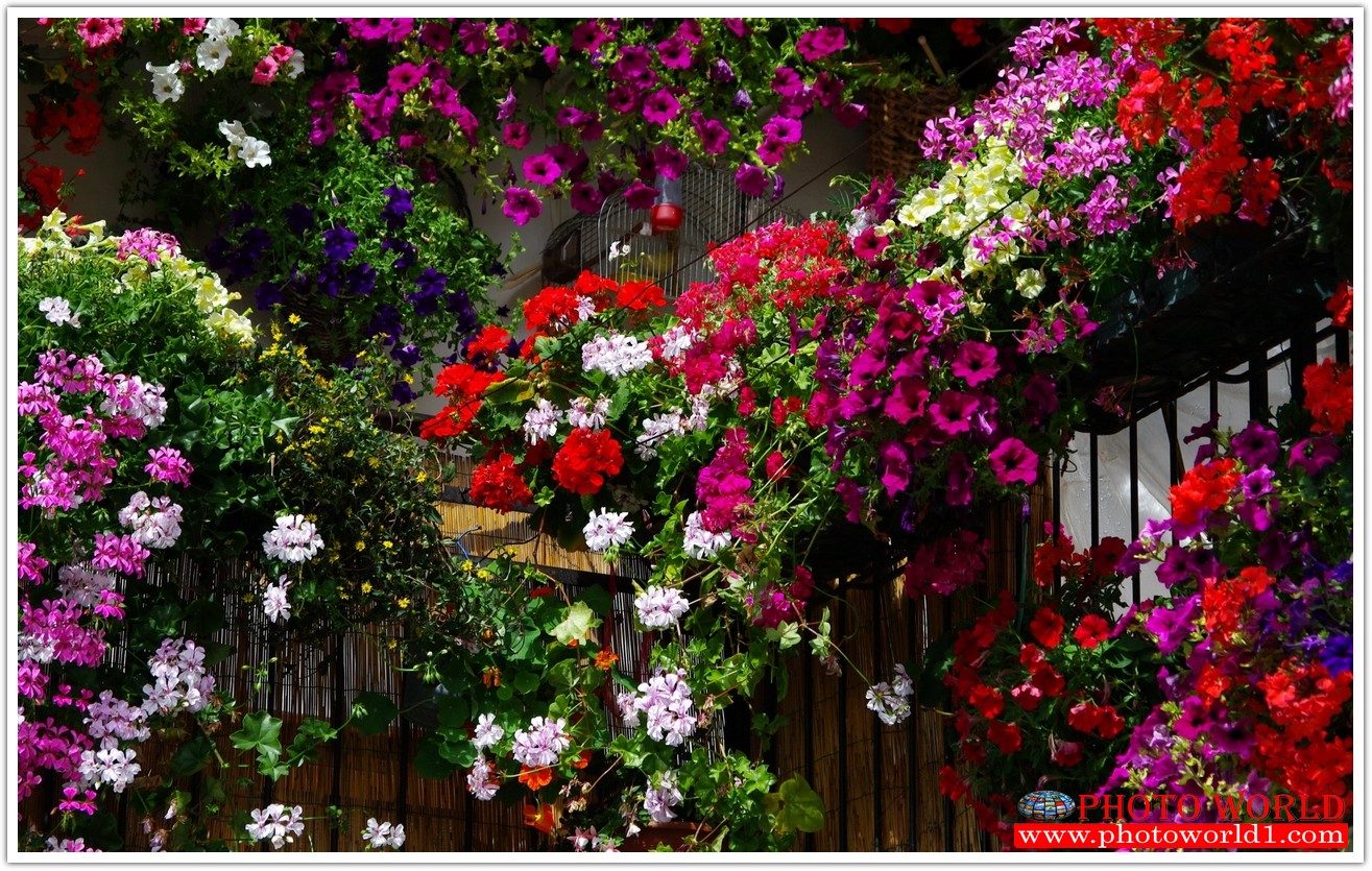 วอลเปเปอร์รูปภาพติดผนังสั่งทำ มีภาพให้เลือกกว่า 50,000 ภาพ ออกแบบกราฟฟิค หรือ รูปภาพตามที่ท่านกำหนด ในสไตล์ท่านเอง "custom made"