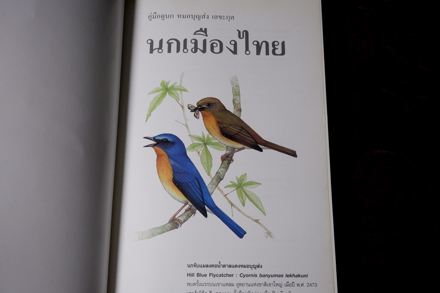 คู่มือดูนก หมอบุญส่ง เลขะกุล นกเมืองไทย (ฉบับ 100 ปี หมอบุญส่ง เลขะกุล) ปี 2550