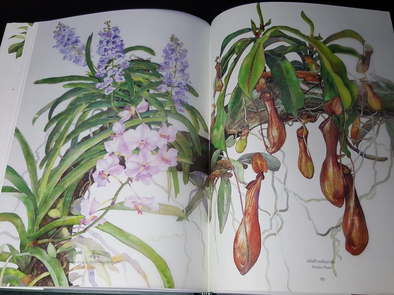 รวมผลงานภาพเขียนสีน้ำ พันธุ์ศักดิ์ จักกะพาก ปกเเข็ง พิมพ์ครั้งเเรก ปี 2545 (สอบถาม-สั่งซื้อทางอีเมลหรือโทรศัพท์)