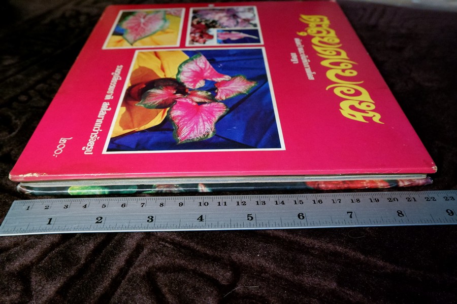 ตะลุยดงบอน โดย เชษฐา ปกเเข็ง 113 หน้า ปี 2524