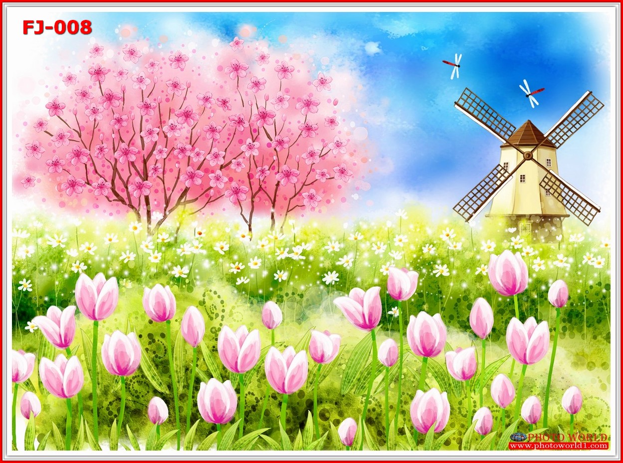 วอลเปเปอร์รูปภาพติดผนังสั่งทำ มีภาพให้เลือกกว่า 50,000 ภาพ ออกแบบกราฟฟิค หรือ รูปภาพตามที่ท่านกำหนด ในสไตล์ท่านเอง "custom made"