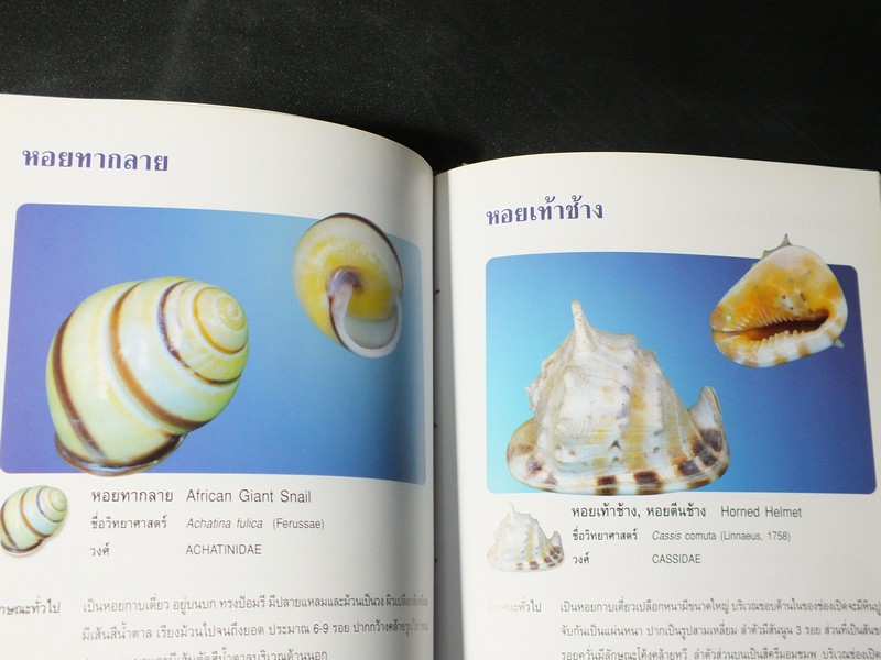 หอยเป็นยา ตามตำรับยาการเเพทย์เเผนไทย โดย เเพทย์หญิงเพ็ญนภา ทรัพย์เจริญ ปกแข็ง ปี 2545