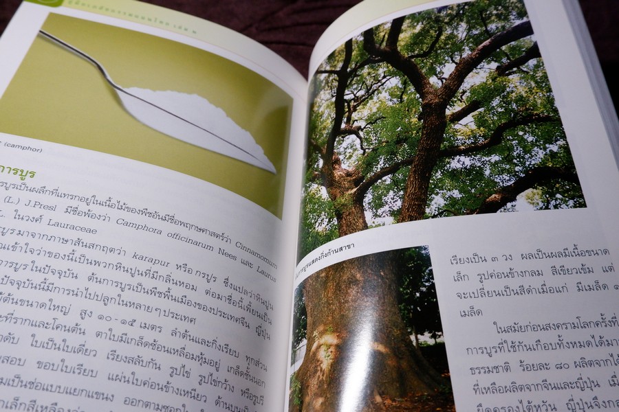 คู่มือเภสัชกรรมเเผนไทย เล่ม 2 เครื่องยาพฤกษวัตถุ พิมพ์ปี 2545