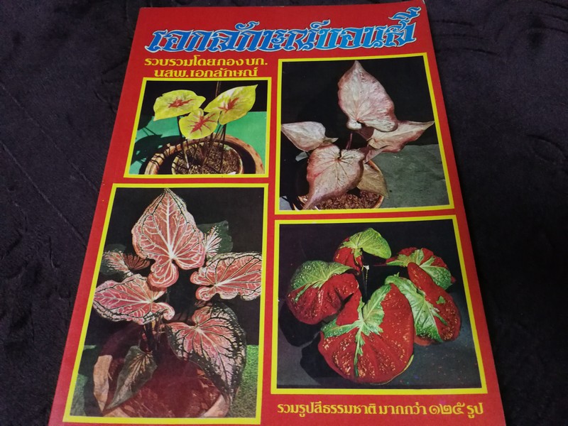 เอกลักษณ์บอนสี โดย กอง บก.นสพ.เอกลักษณ์ ปี 2524