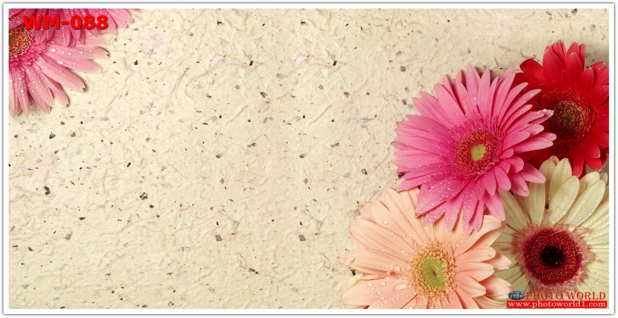 วอลเปเปอร์รูปภาพติดผนังสั่งทำ มีภาพให้เลือกกว่า 50,000 ภาพ ออกแบบกราฟฟิค หรือ รูปภาพตามที่ท่านกำหนด ในสไตล์ท่านเอง "custom made"