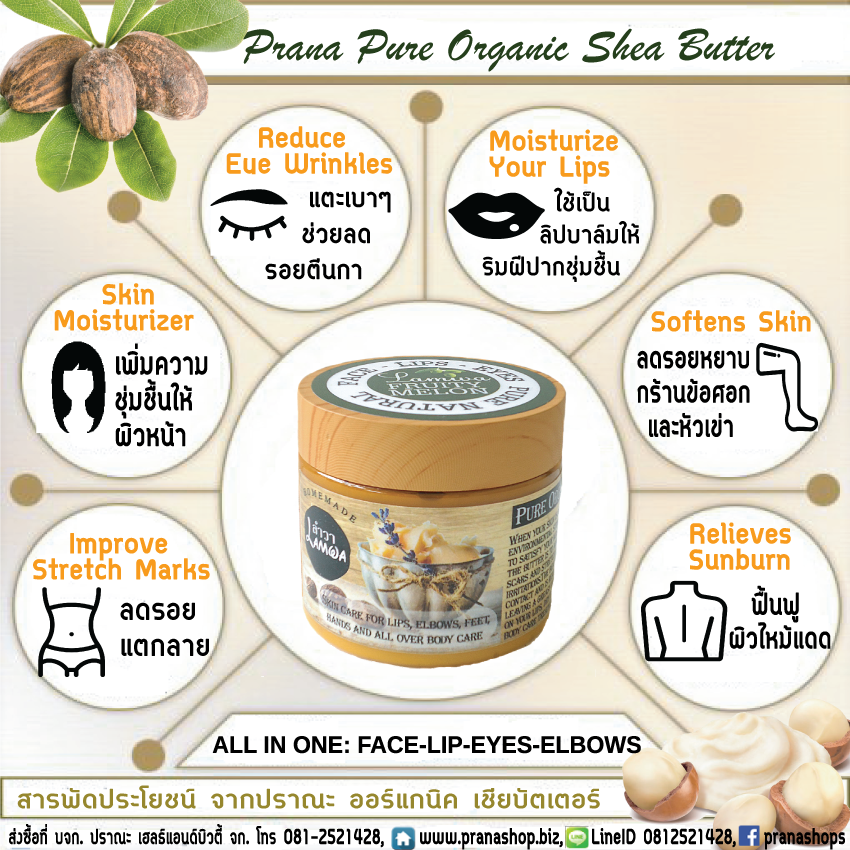 [ลิปบาล์ม อายครีม ลบผิวแตกลาย ฯลฯ] Prana Shop Organic Shea Butter ออร์แกนิค เชียบัตเตอร์ 60g.